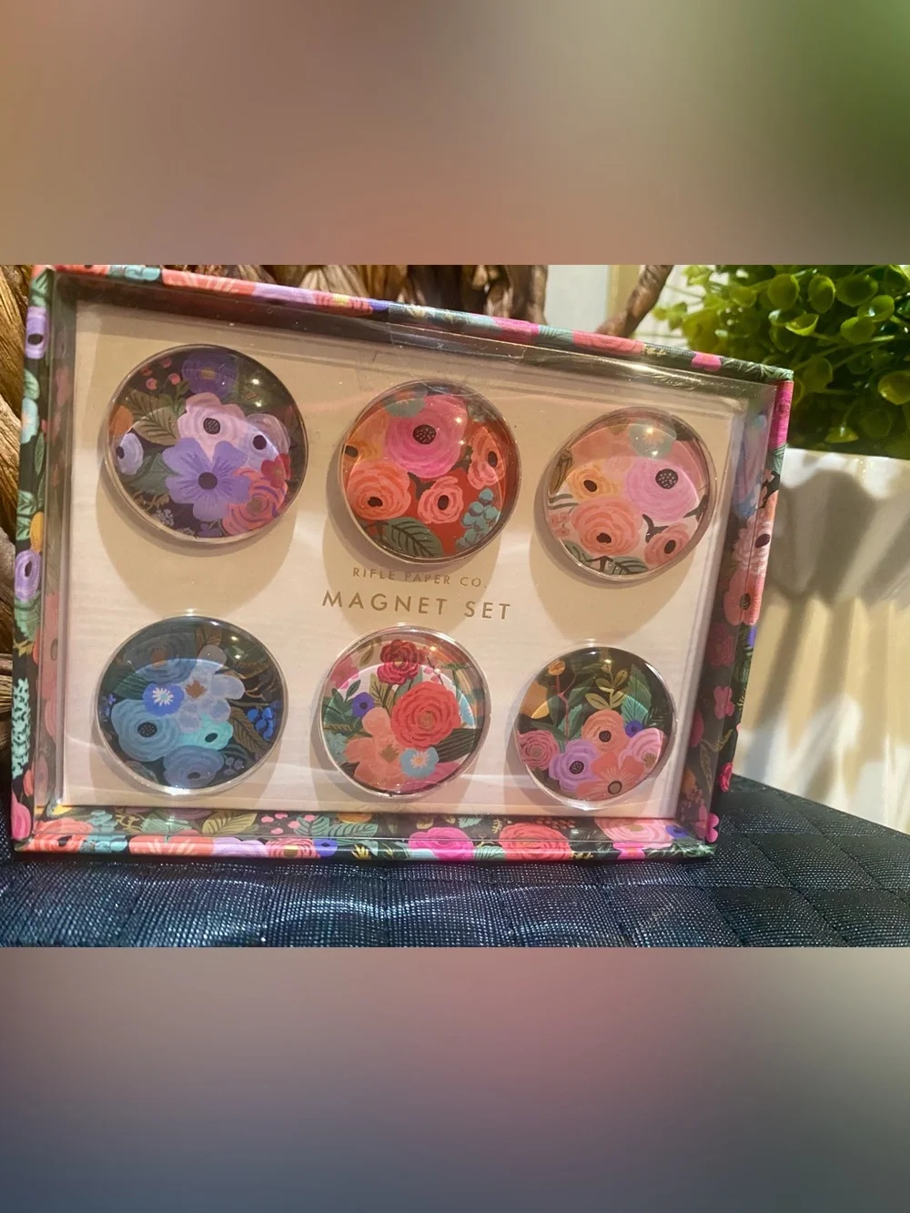 Rifle Paper Co. Floral Magnet Set – Pink, Blue & Coral